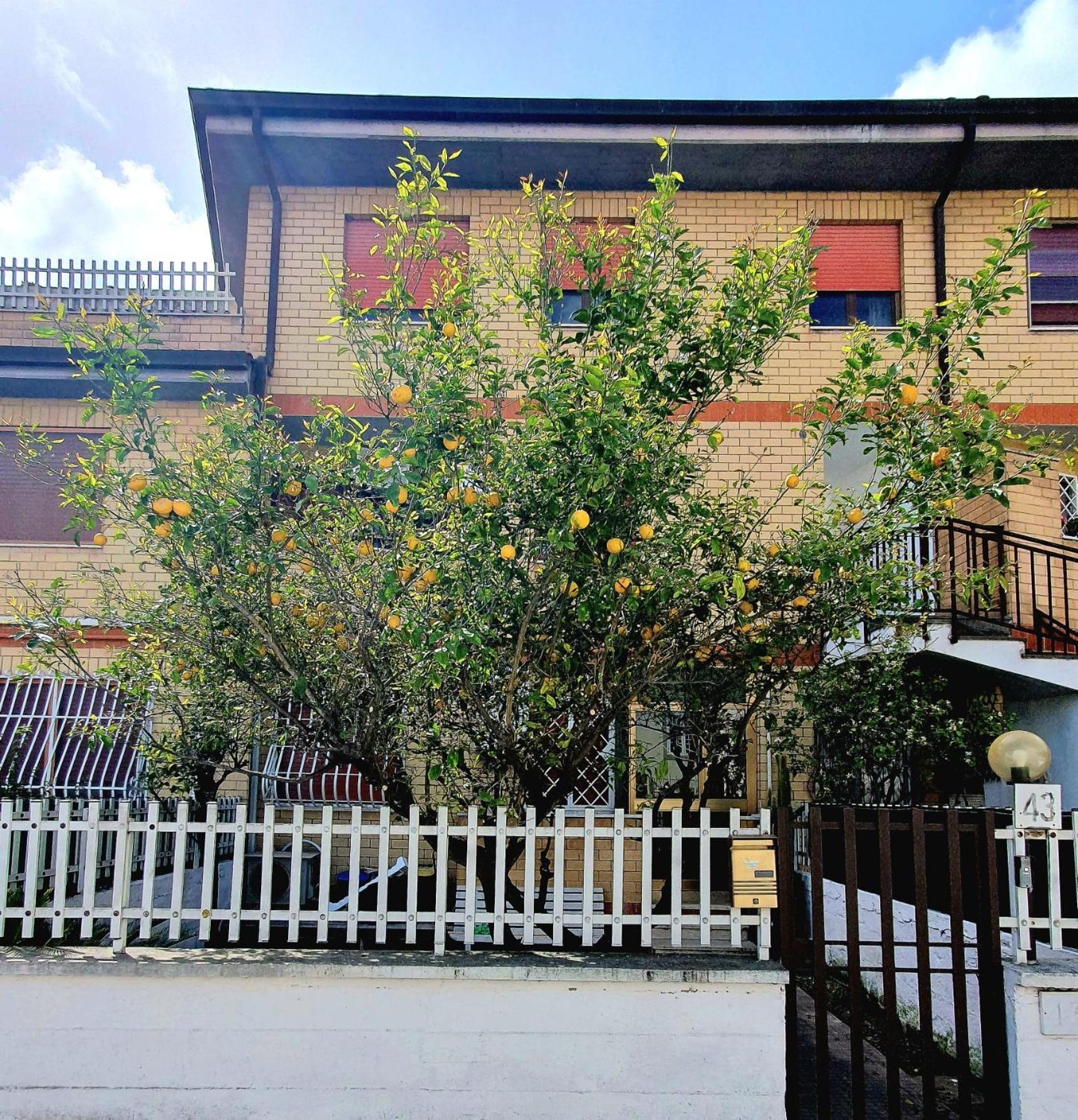 Lemon Tree House Apartman Ostia Antica Kültér fotó